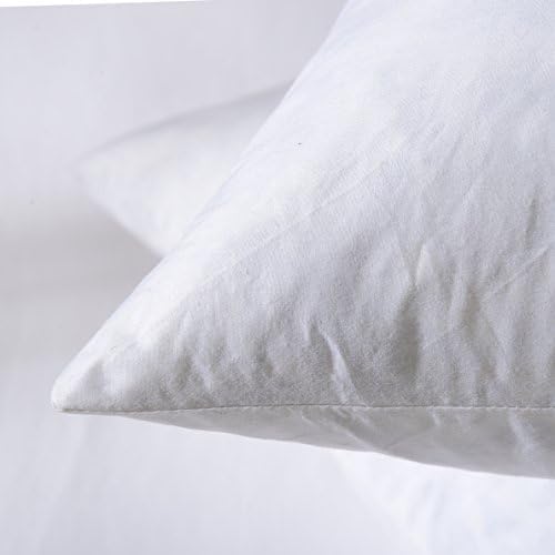 basic home Euro Pillow Inserts 30x30 inchs - Feather and Down Fill - Cotton Fabric - Set of 2 Throw Pillow Insert