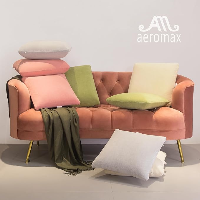 AM AEROMAX 22 × 22 Throw Pillow (Pack of 4) Memory Foam Pillow Insert - Square Accent Pillow for Decorative Cushion Bed Couch Sofa - Non-Deforming Over Time