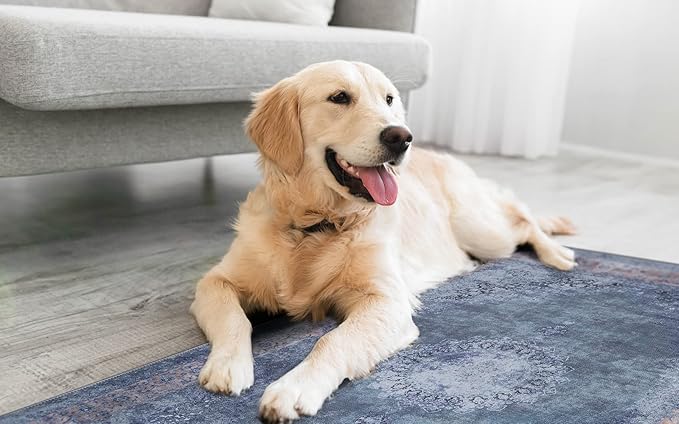 RugOver Machine Washable Area Rug, Pet-Friendly and Non-Slip Indoor Carpet for Kitchen, Bathroom, Living Room, Home Floor Decoration(Ash/Champagne, 3' x 5')