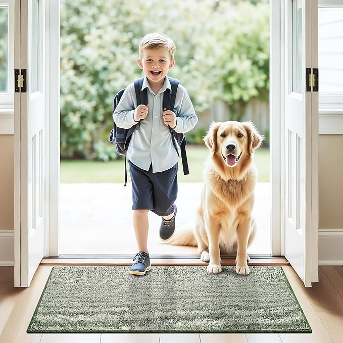 GRANNY SAYS Front Door Mat Outside Entrance, Door Mats for Entryway, Welcome Matt Non-Slip, Large Front Porch Mat Low Profile Resist Dirt, 48"x32", Green Beige
