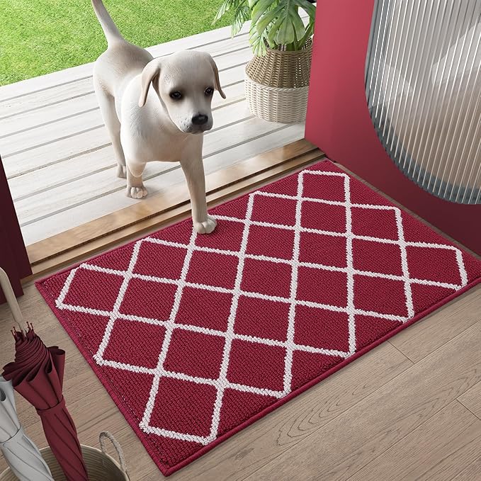 Finchitty Indoor Door Mat, Dirt Resistant and Absorbent, Low-Profile, Non-Slip, Washable Inside Floor Mats for Front Door, Back, and Entrance, 48" x 32", Burgundy