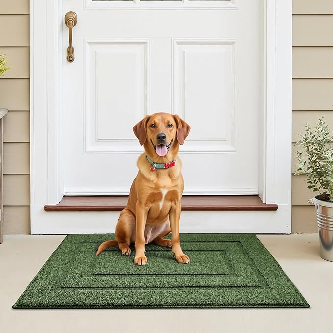 GRANNY SAYS Front Door Mat Outside Entrance, Welcome Matt Non-Slip, Outdoor Door Mats for Entryway, Long Front Porch Mat Low Profile Resist Dirt Easy to Clean, 48"x32", Green