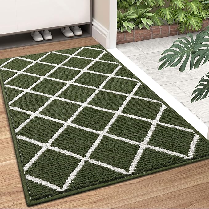 Finchitty Indoor Door Mat, Dirt Resistant and Absorbent, Low-Profile, Non-Slip, Washable Inside Floor Mats for Front Door, Back, and Entrance, 36" x 24", Green