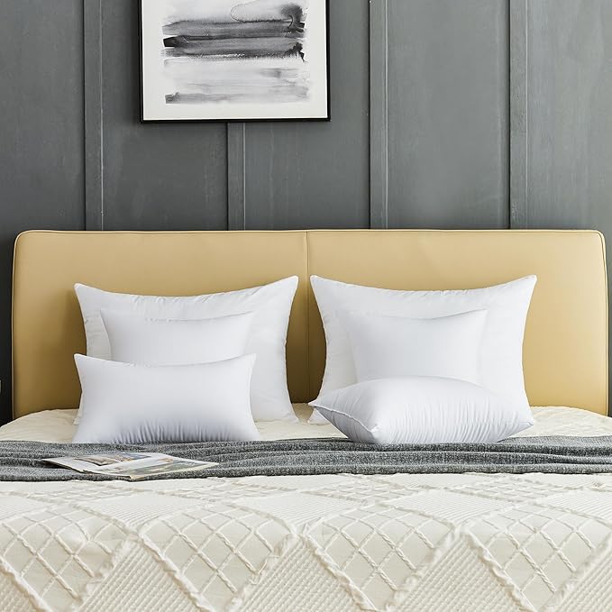 QSWRD 22 x 22 Throw Pillow Inserts Pack of 2 Large White Decorative Square Pillows for Couch Bed Sofa Cushion Sham Stuffer Indoor
