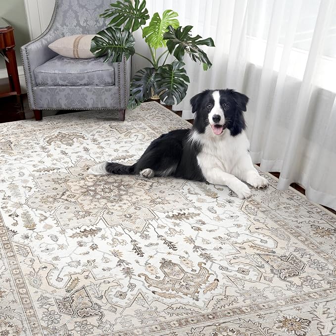 Fortsea Area Rug 5x7, Machine Washable Rugs for Bedroom, Large Non Slip Persian Rug for Bedroom Living Room Kitchen Entryway Bathroom Office Carpet Brown…