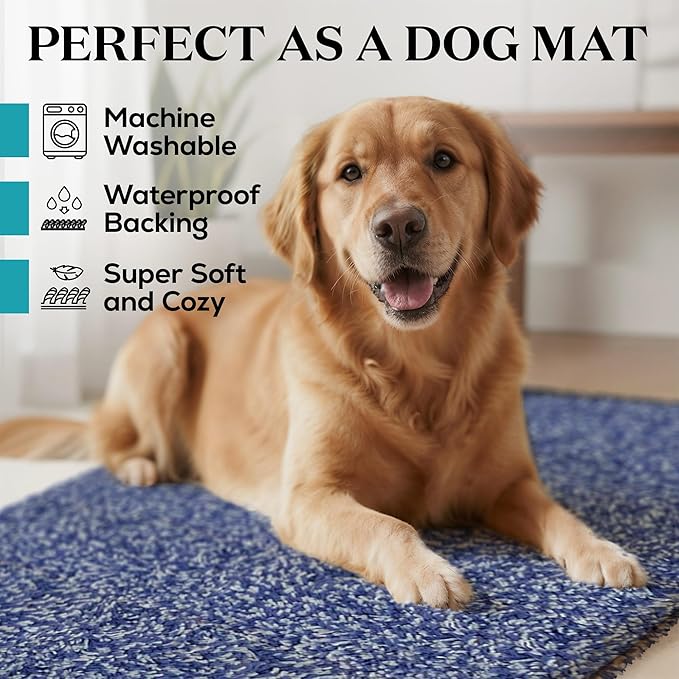 RugMast Premium Microfiber Indoor Door Mat – 36"x60" Washable Entry Mat, Non-Slip, Waterproof Backing, Super Absorbent, Low Profile Entryway Doormat for Indoor Entrance