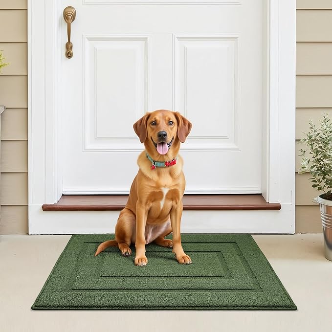 GRANNY SAYS Front Door Mat Outside Entrance, Welcome Matt Indoor Non-Slip, Door Mats for Outdoor, Entryway Front Porch Matt Low Profile Resist Dirt Easy to Clean, 36" x 24", Green
