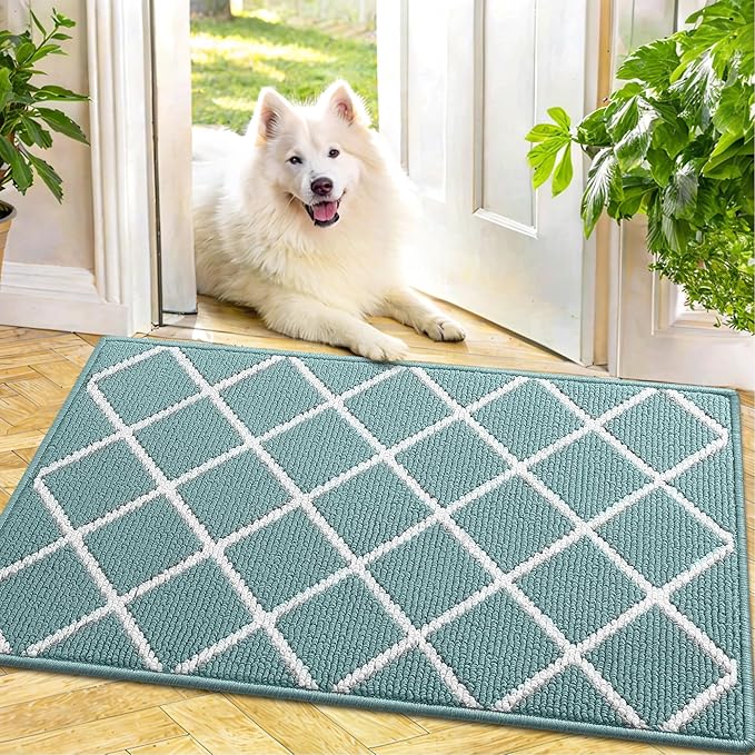 Finchitty Indoor Door Mat, Dirt Resistant and Absorbent, Low-Profile, Non-Slip, Washable Inside Floor Mats for Front Door, Back, and Entrance, 36" x 24", Sage Green
