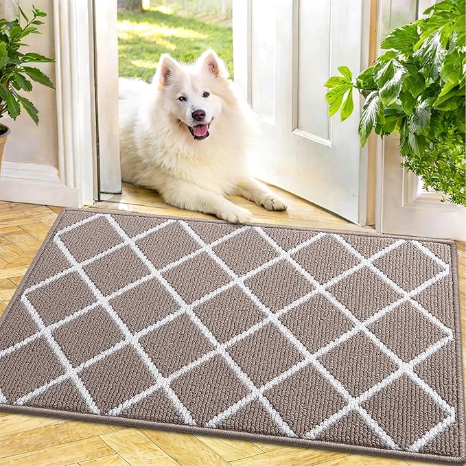 Finchitty Indoor Door Mat, Dirt Resistant and Absorbent, Low-Profile, Non-Slip, Washable Inside Floor Mats for Front Door, Back, and Entrance, 36" x 24", Brown