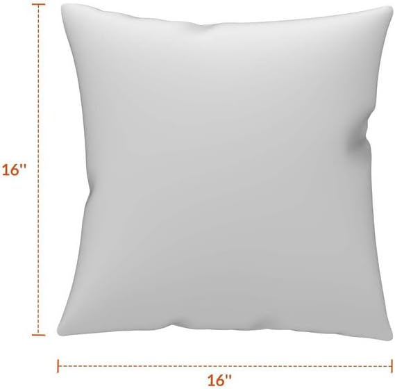 Covers & All Sunbrella Indoor/Outdoor Throw Pillows, Square Throw Pillows Inserts with Covers Set of 2 (Shore Classic, 16x16)