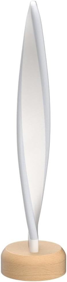 Table Lamp RGB Wood lamp Bedside Lamp 16 Color-Changing Light, Natural Beech Night Light for Living Rooms and Bedrooms Creative Home Decor, Unique House warmging Gift(US-LX-RGB)