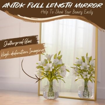 Antok Full Length Mirror, 58"x21" Arched Floor Mirror, Mirror Full Length with Stand, Wall Mounted Mirrors for Living Room Bedroom,Gold