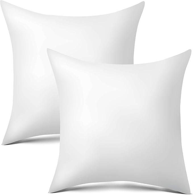 raajsee 20x20 Throw Pillow Inserts Set of 2 - Luxurious Comfort for Your Couch and Sofa | Fluffy, Soft & Durable | Perfect for Decorative Shams | Machine Washable