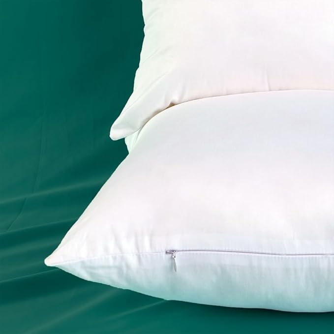 Winighting Set of 2 Plump Cotton Fabric Throw Pillow Inserts, Filler for Decorative Cushion Cover, 26 X 26 Inches, There are Multiple Sizes to Choose from