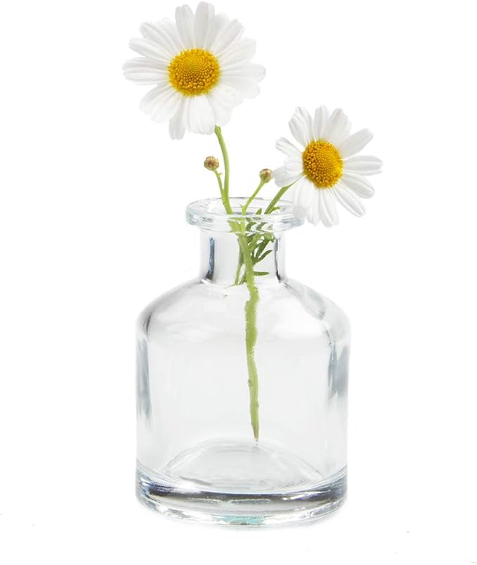 CHIVE ‘Loft’ Small Mini Flower Vases - Clear Glass Bud Vases, Set of 10 - Cute Vintage Rustic Centerpieces for Wedding, Events & Home - Premium Quality, Designed to Last