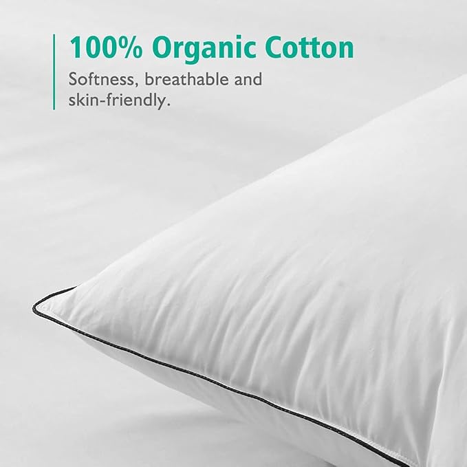 APSMILE Organic Feather Down Pillows Set of 2, Queen Size Bed Pillows for Sleeping with 100% Cotton Cover, 3-Chamber Hybrid Feather Down Core Pillow Surrounded by Polyester for Cushions 20x30 Inches
