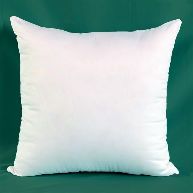 Winighting Set of 2 Plump Cotton Fabric Throw Pillow Inserts, Filler for Decorative Cushion Cover, 26 X 26 Inches, There are Multiple Sizes to Choose from
