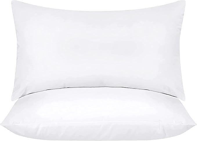 raajsee 12x20 Throw Pillow Inserts Set of 2, Soft Fluffy Down Alternative Throw Pillows for Couch, Pillow Forms 12 x 20, Pillow Filling Stuffing for Decorative Covers,Machine Washable