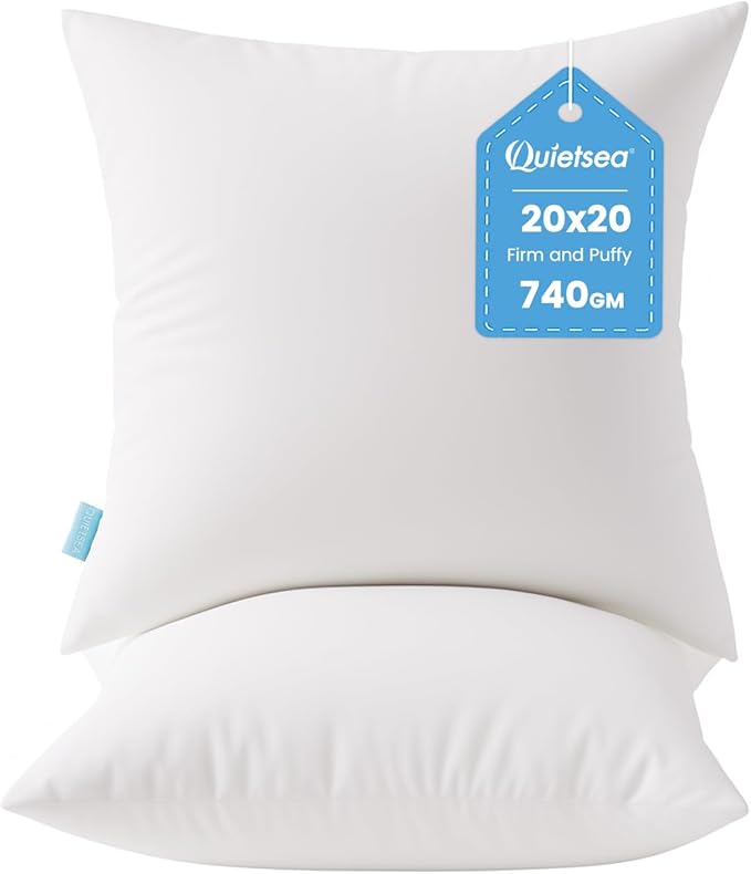 QUIETSEA 20x20 Pillow Inserts, 2 Pack Down Alternative Throw Pillow Inserts, Fluffy Soft Square Decorative Pillows for Bed, Couch and Sofa