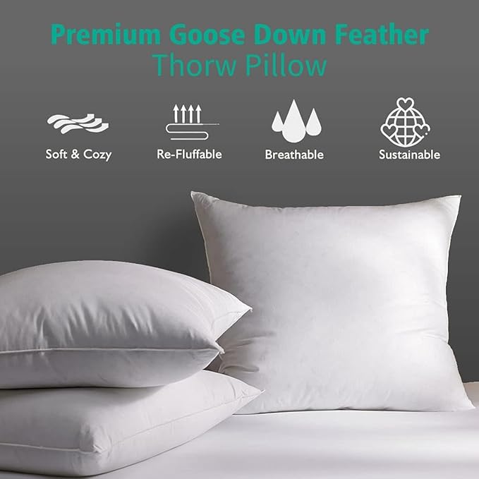 APSMILE 22x22 Down Feather Throw Pillow Inserts 2 Pack - Premium Soft Cotton Euro Square Decorative Pillow Core Set for Bed, Sofa, Couch, Ivory White