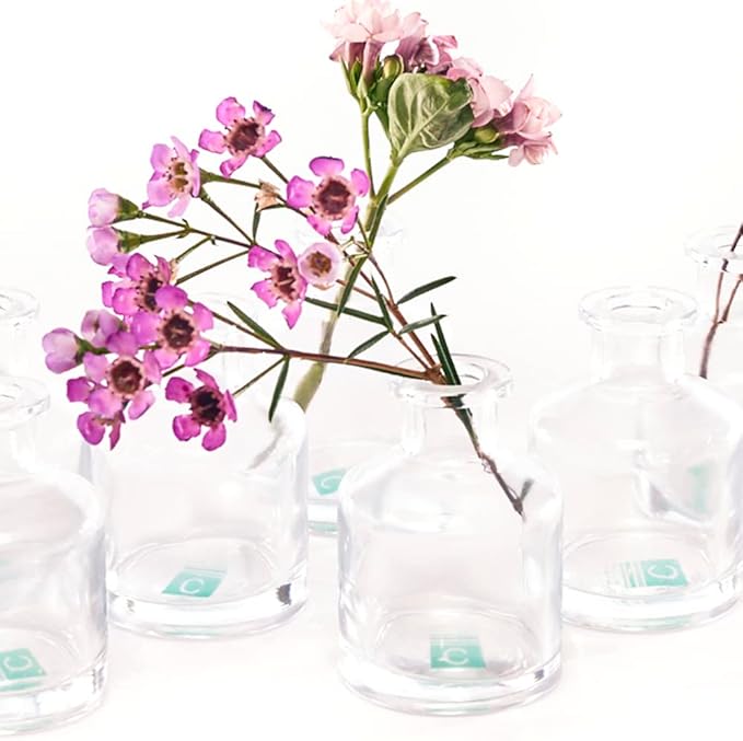 CHIVE ‘Loft’ Small Mini Flower Vases - Clear Glass Bud Vases, Set of 10 - Cute Vintage Rustic Centerpieces for Wedding, Events & Home - Premium Quality, Designed to Last