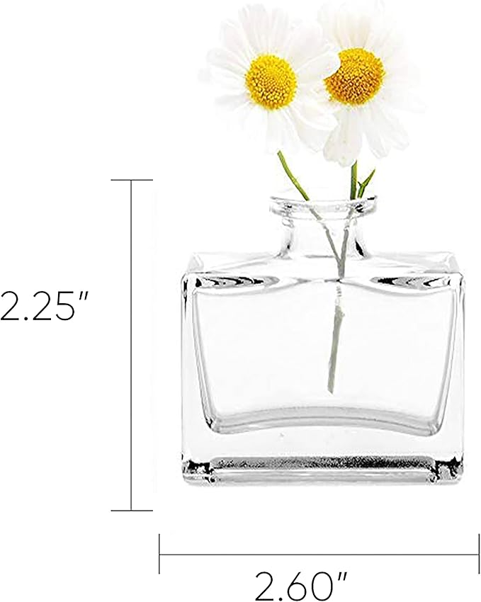 CHIVE ‘Loft’ Small Mini Flower Vases - Clear Glass Bud Vases, Set of 10 Color - Cute Vintage Rustic Centerpieces for Wedding, Events & Home - Premium Quality, Designed to Last