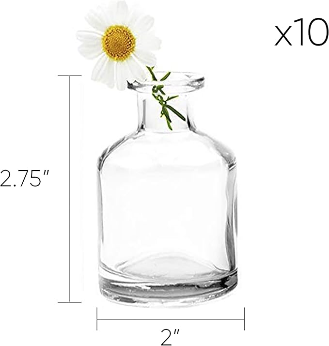 CHIVE ‘Loft’ Small Mini Flower Vases - Clear Glass Bud Vases, Set of 10 - Cute Vintage Rustic Centerpieces for Wedding, Events & Home - Premium Quality, Designed to Last