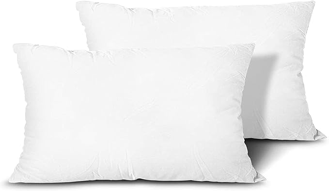 raajsee 12x20 Throw Pillow Inserts Set of 2, Soft Fluffy Down Alternative Throw Pillows for Couch, Pillow Forms 12 x 20, Pillow Filling Stuffing for Decorative Covers,Machine Washable