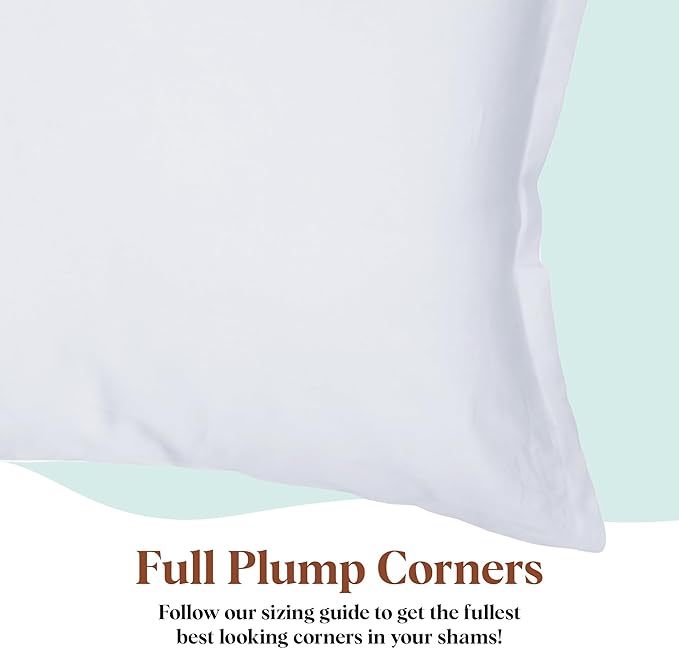 Pillowflex Premium Polyester Throw Pillow Insert - 20x30 - Ultra Soft Large Rectangle Throw Pillow, Couch Sham, Lumbar, Back, Sofa - Machine Washable - Decorative Accent Form - 1 Soft Pillow