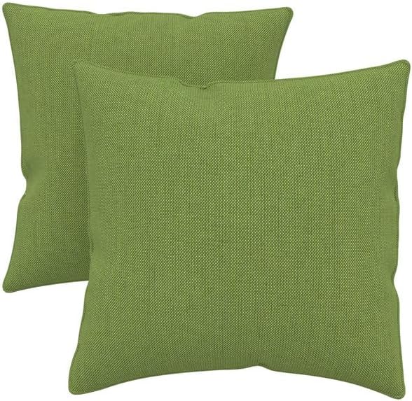 Covers & All Sunbrella Indoor/Outdoor Square Throw Pillows Inserts with Covers, Water Resistant & UV Fade Resistant Set of 2 (Spectrum Cilantro-Self Welt, 16x16)