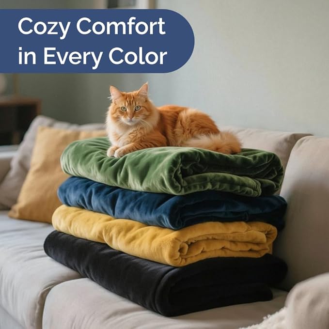 Ultra Soft Fleece Blanket Throw Size - Flannel Fleece Luxury Throw Blanket - Lightweight for Couch Bed Chair - Thick, Warm and Breathable - All Season Cozy Fuzzy, Anti-Static Microplush Bedding, Ivory