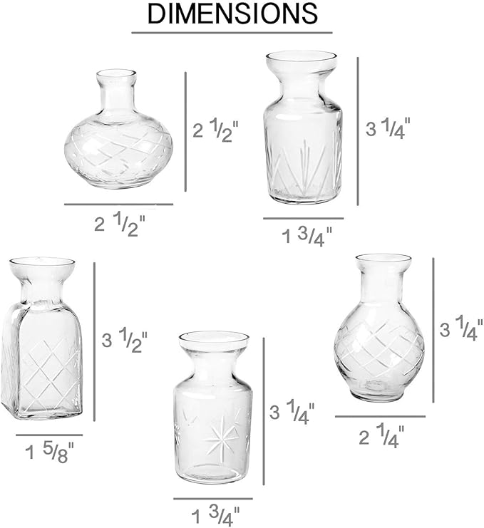 ART & ARTIFACT Mini Vases for Flowers - Small Glass Vases, Clear 5 Vase Set Single Bud Vases for Flowers, Room Decor - Clear