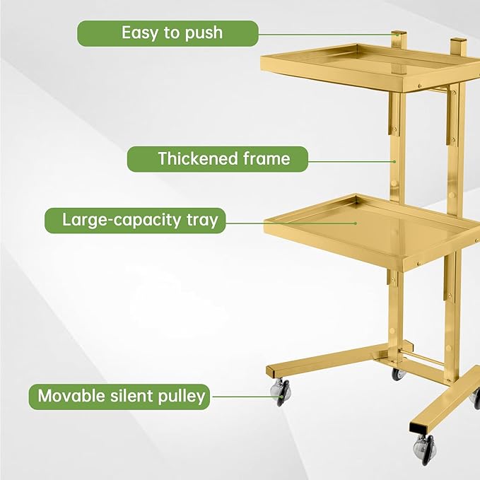 2-Tray Metal Rolling Cart, Stainless Steel Salon Tray Trolley, Foldable Utility Carts Quiet Lockable Wheels, Salon Trolley for Beauty Spa Esthetician dentals Tools, Cavitation Machine, Gold