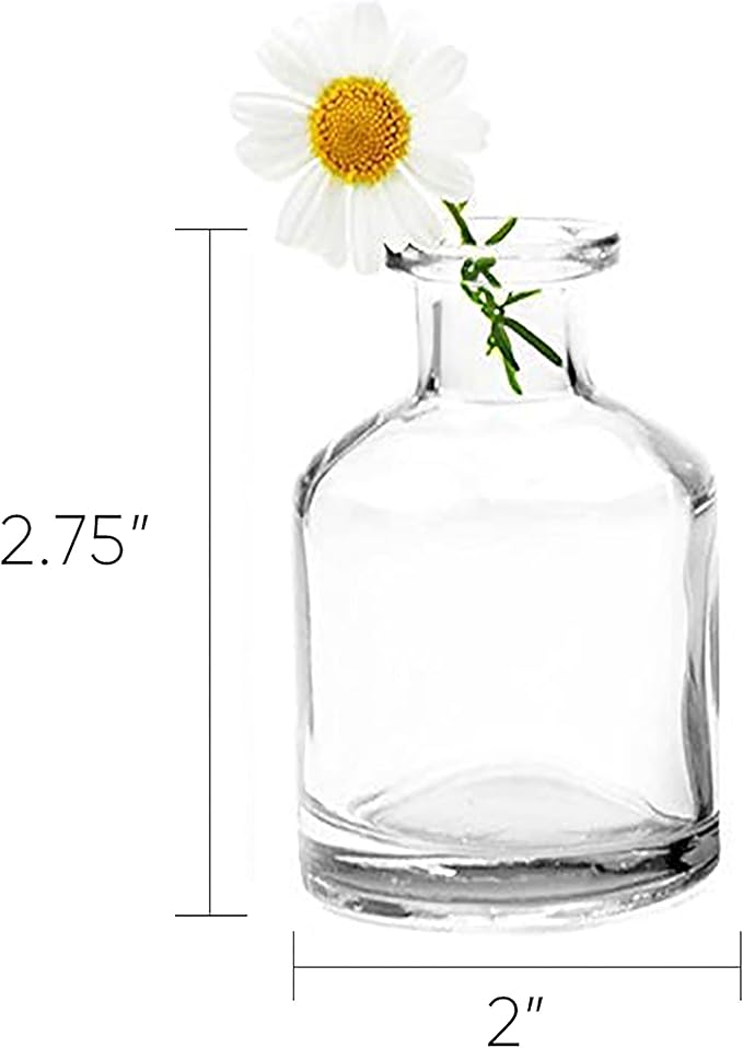 CHIVE ‘Loft’ Small Mini Flower Vases - Clear Glass Bud Vases, Set of 10 Color - Cute Vintage Rustic Centerpieces for Wedding, Events & Home - Premium Quality, Designed to Last