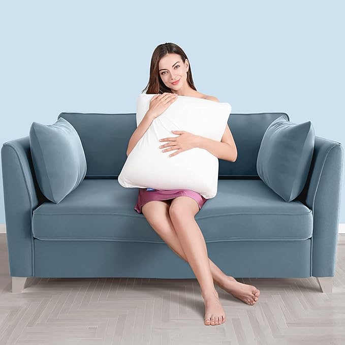 AM AEROMAX 16x16 Throw Pillow Memory Foam Pillow Insert Sham Square for Decorative Cushion Bed Couch Sofa Without Deform After Longtime Use