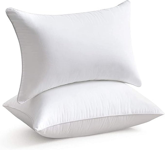 raajsee 12x20 Throw Pillow Inserts Set of 2, Soft Fluffy Down Alternative Throw Pillows for Couch, Pillow Forms 12 x 20, Pillow Filling Stuffing for Decorative Covers,Machine Washable