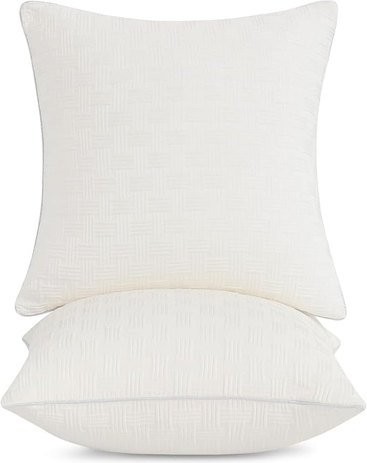Leeden 22x22 Pillow Inserts Set of 2-22 Inch Decorative Throw Pillow Insert, Soft Fluffy Square Throw Pillows for Couch Bed, Beige Couch Pillow Insert Pair