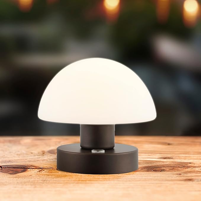 JONATHAN Y JYL7113A Zoe 5.75" Bohemian Farmhouse Iron Rechargeable Integrated LED Table Lamp Contemporary Bedside Desk Lamp for Bedroom Living Room Office, Oil Rubbed Bronze/White