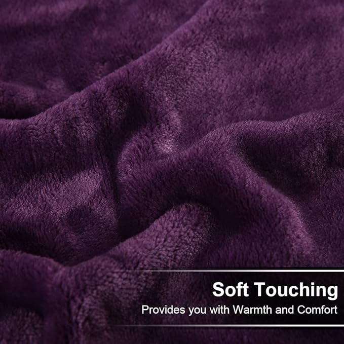 EASELAND Soft Blanket Queen Size Winter Warm Fuzzy Microplush Lightweight Thermal Fleece Blankets for Couch Bed Sofa,90x90 inches,Purple