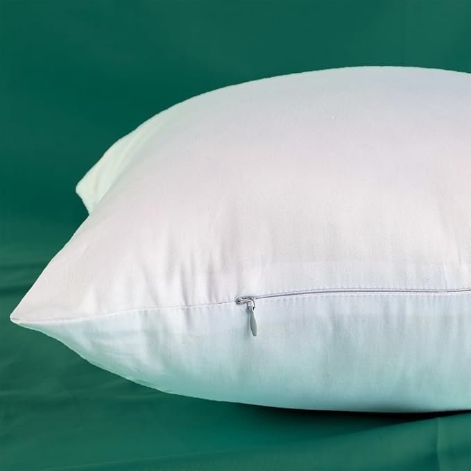 Winighting Set of 2 Plump Cotton Fabric Throw Pillow Inserts, Filler for Decorative Cushion Cover, 26 X 26 Inches, There are Multiple Sizes to Choose from