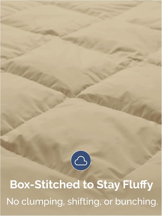 Queen Size, Beige Alternative Down Comforter - Warm and Lightweight - Luxury and Breathable Hotel Quality Bedding Set - All Season Fluffy and Cozy Oversized Cooling Microfiber Duvet Insert Comforter