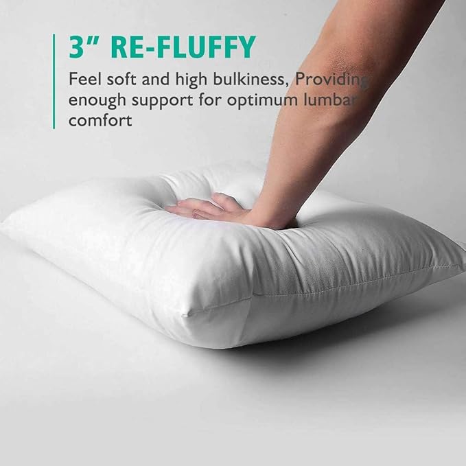 APSMILE 24x24 Down Feather Throw Pillow Inserts 2 Pack - Premium Soft Cotton Euro Square Decorative Pillow Core Set for Bed, Sofa, Couch, Ivory White
