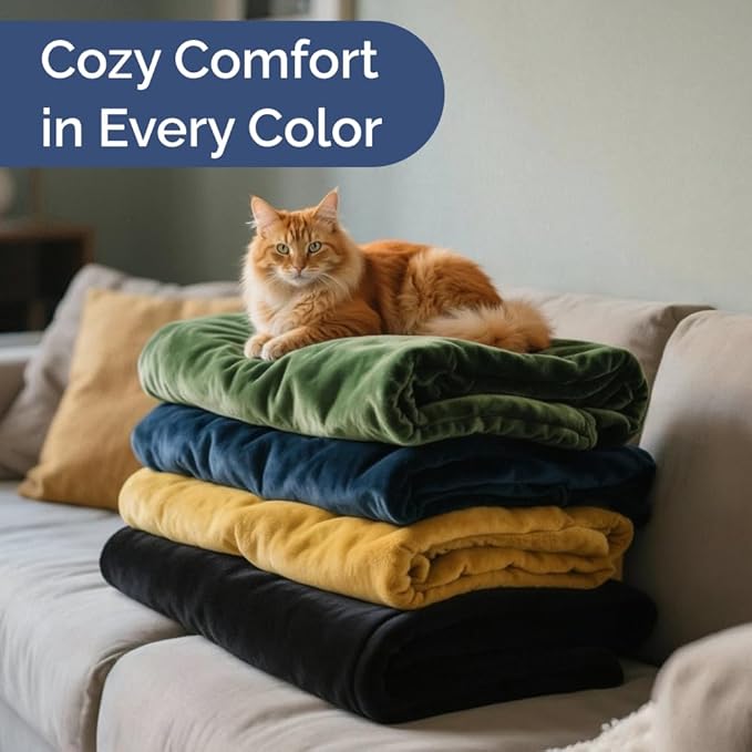 Ultra Soft Fleece Blanket Queen Size - Flannel Fleece Luxury Queen Blanket - Lightweight for Couch Bed Chair - Thick, Warm and Breathable - All Season Cozy Fuzzy, Anti-Static Microplush Bedding, White