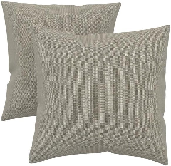 Covers & All Sunbrella Indoor/Outdoor Square Throw Pillows Inserts with Covers, Water Resistant & UV Fade Resistant Set of 2 (Spectrum Dove, 16x16)