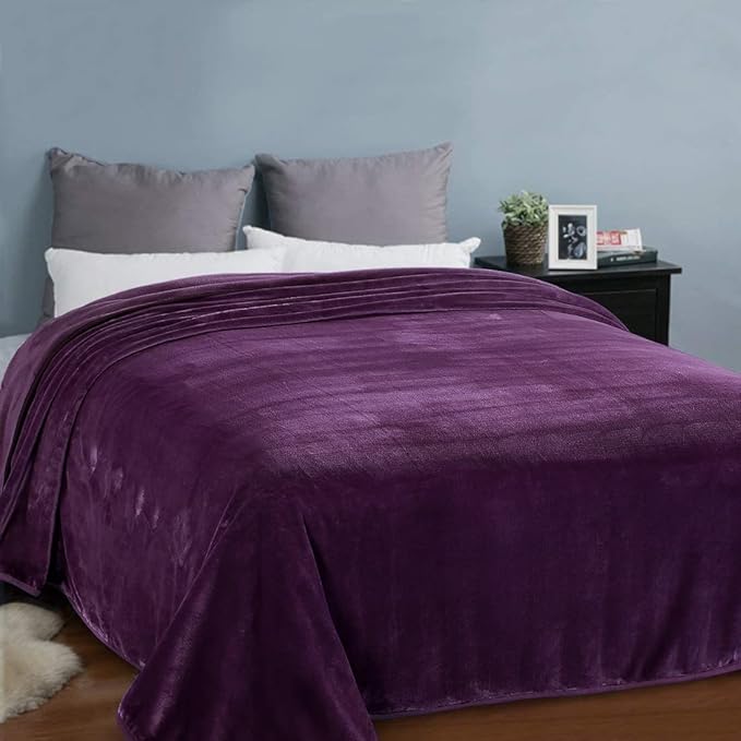 EASELAND Soft Blanket King Size Blanket Warm Microplush Lightweight Thermal Fleece Blankets for Couch Bed Sofa,90x108 inches,Purple