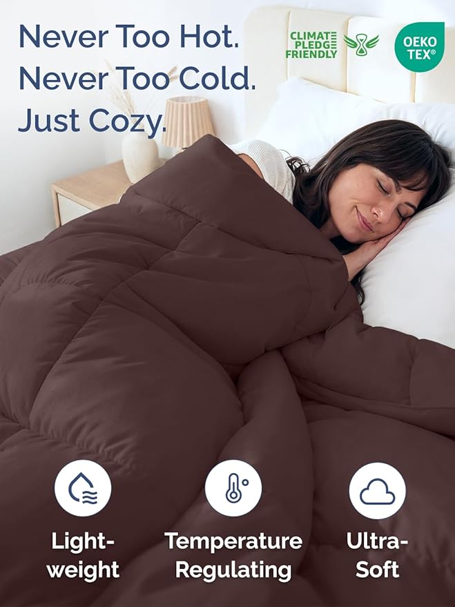 Queen Size, Brown & Beige Reversible Alternative Down Comforter - Warm Lightweight - Breathable Hotel Quality Bedding Set - All Season Fluffy Cozy Oversized Cooling Microfiber Duvet Insert Comforter