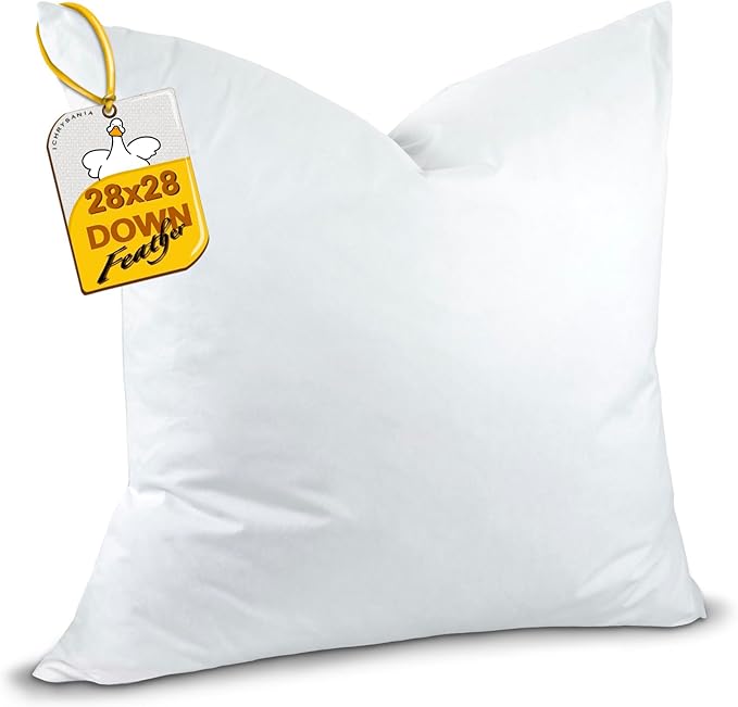 Ichrysania Down and Feather Euro Pillows Set of 1, Square Decorative Throw Pillows for Couch, Sofa, Chair, Bed,or Floor Cushions 28x28 (Inch, 28, 28x28)