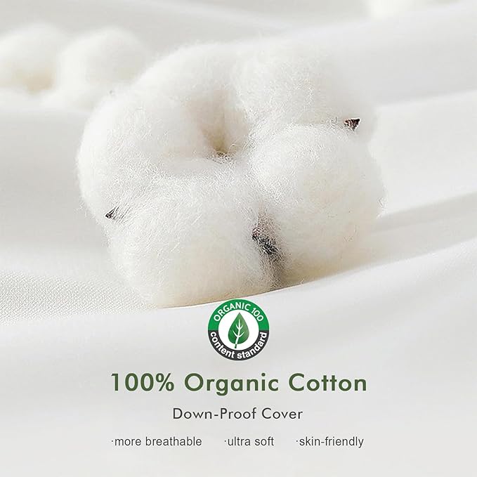 TOPGREEN Feathers Down Throw Pillow Inserts 12x20, Set of 2, 100% Organic Cotton Shell, Soft Decorative Lumbar Pillow Insert for Living Room Sofa, Couch, or Bed (White)