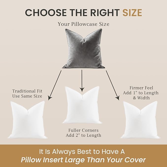BHZ Euro Throw Pillow Inserts, 24x24 Down Feather Alternative Pillow Inserts Set of 2, Decorative Soft Large Square White Throw Pillows Insert for Couch Bed Dorm Sofa with Breathable Cover