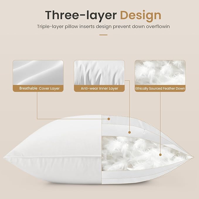 BHZ Euro Throw Pillow Inserts, 24x24 Down Feather Alternative Pillow Inserts Set of 2, Decorative Soft Large Square White Throw Pillows Insert for Couch Bed Dorm Sofa with Breathable Cover